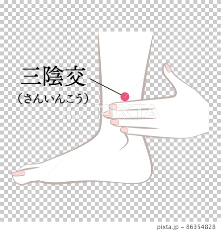 足のツボ　三陰交 86354828