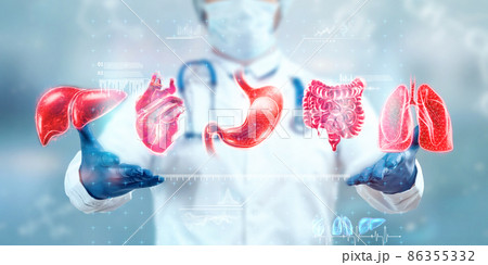Human internal organs treatment concept. The doctor shows the patient's organs, a hologram with medical indications. Modern medicine, healthcare, medical insurance. 86355332