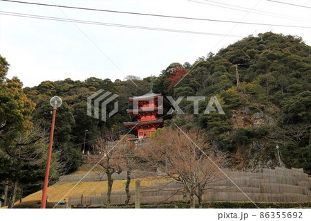 冬の城下町散策・39(岐阜市:織田信長の居館址) 冬の城下町散策・39(岐阜市:織田信長の居館址) 86355692