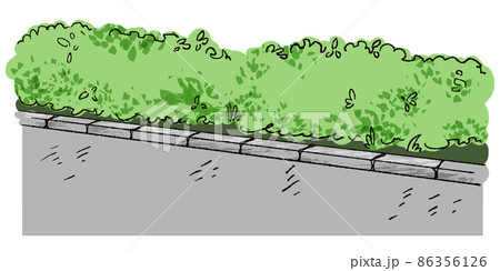 道路脇の植栽 手描きイラストのイラスト素材