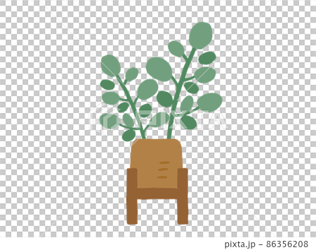 Cute botanical foliage plants / hand-drawn illustrations 86356208