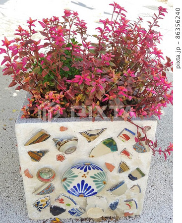 那覇市　壺屋やちむん道りの花壇 86356240