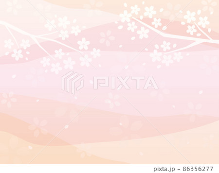 桜の枝とピンクの淡いグラデーション背景 サイズ比率4 3のイラスト素材