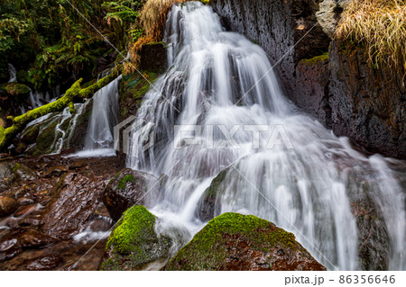 早朝の菊池渓谷の美しい風景 86356646