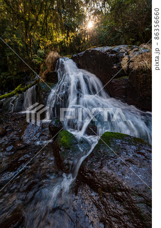 早朝の菊池渓谷の美しい風景 86356660