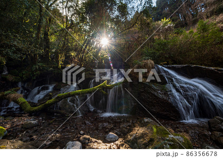 早朝の菊池渓谷の美しい風景 早朝の菊池渓谷の美しい風景 86356678
