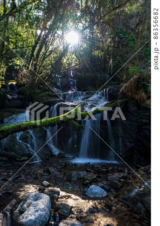 早朝の菊池渓谷の美しい風景 早朝の菊池渓谷の美しい風景 86356682