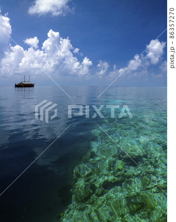Coral Reef - The Maldives Coral Reef - The Maldives 86357270
