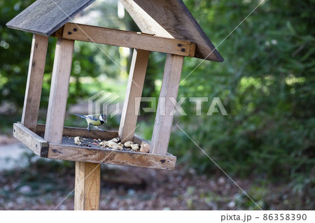 Tit and bird feeder in the winter park. Bird. Human concern for birds. Tit and bird feeder in the winter park. Bird. Human concern for birds. 86358390