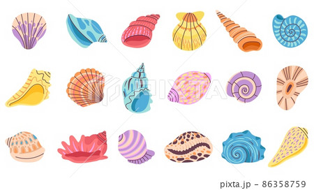 Seashell. Isolated seashells, oyster and clam. Decoration beach sea ocean elements. Cartoon summer marine objects, seasonal decent vector set Seashell. Isolated seashells, oyster and clam. Decoration beach sea ocean elements. Cartoon summer marine objects, seasonal decent vector set 86358759