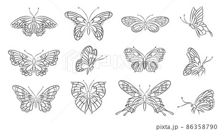 Butterflies line silhouettes. Spring butterfly, abstract outline tattoo stencil. Summer insects, beauty decorative flying characters with wings, nowaday vector set 86358790