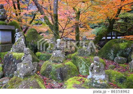 大寧寺の紅葉 大寧寺の紅葉 86358962