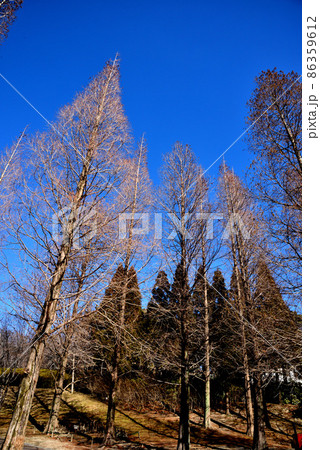 知多東浦町の於大公園 86359612