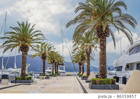 Yacht Porto Montenegro. Elite marina of Tivat in Montenegro Yacht Porto Montenegro. Elite marina of Tivat in Montenegro 86359857