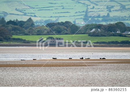 The great seal bank in Sligo - Ireland 86360255
