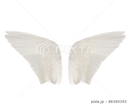 White wings similar to angelic isolated on white background White wings similar to angelic isolated on white background 86360393