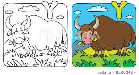 Funny wild yak coloring book. Alphabet Y Funny wild yak coloring book. Alphabet Y 86360437
