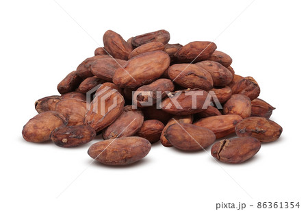 カカオ豆 カカオ イラスト リアル 86361354