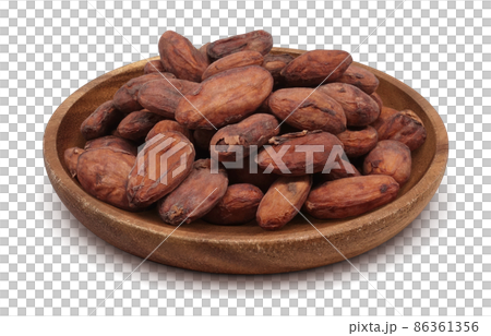 カカオ豆 カカオ イラスト リアル 86361356