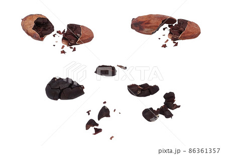 カカオ豆 カカオ イラスト リアル 86361357