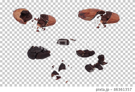 カカオ豆 カカオ イラスト リアル 86361357