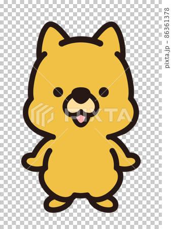 Cute Shiba Inu Cute Shiba Inu 86361378