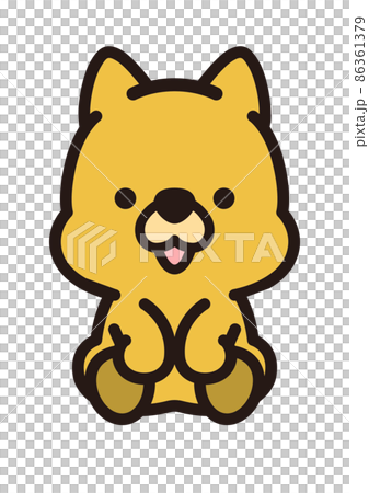 Cute Shiba Inu 86361379