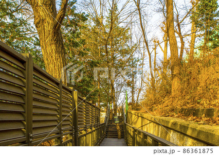 ソウル 山 木材 86361875