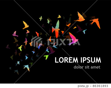 Multi-colored birds on a black background . A flock of flying rainbow birds. Vector illustration Multi-colored birds on a black background . A flock of flying rainbow birds. Vector illustration 86361893