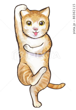 猫のシェー 86362115