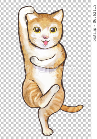 猫のシェー 86362115