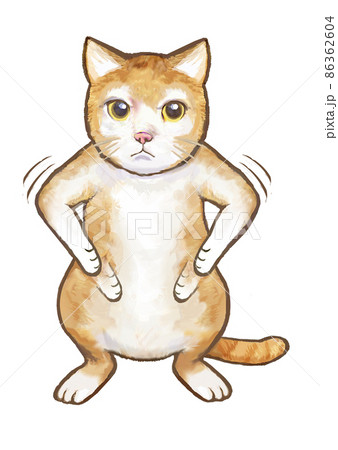 猫のコマネチ 猫のコマネチ 86362604