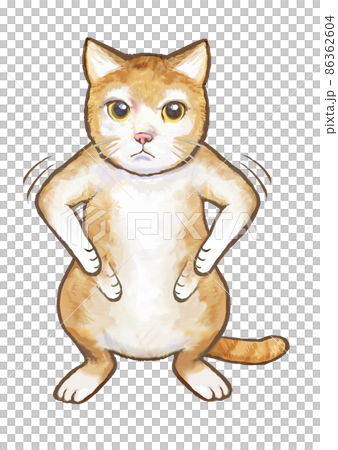 猫のコマネチ 猫のコマネチ 86362604