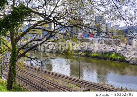 外濠沿いの満開の桜と中央・総武線の線路 外濠沿いの満開の桜と中央・総武線の線路 86362795