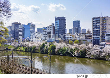 外濠沿いの桜並木と街並み 外濠沿いの桜並木と街並み 86362802