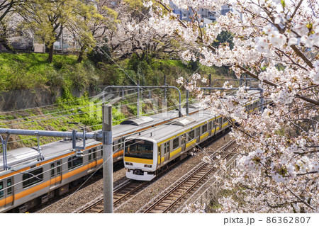 桜が満開の牛込濠沿いを走るJR総武線と中央線の車両（東京都千代田区・2021年3月） 86362807