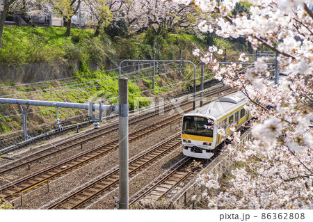 桜が満開の牛込濠沿いを走るJR総武線の車両（東京都千代田区・2021年3月） 86362808