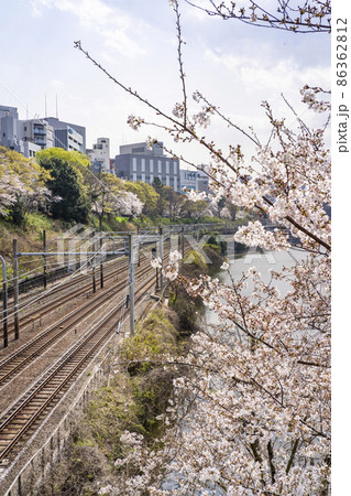 新見附橋付近の桜と中央・総武線の線路(市ヶ谷駅方面) 新見附橋付近の桜と中央・総武線の線路(市ヶ谷駅方面) 86362812