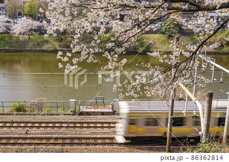 桜が満開の牛込濠沿いを走る総武線の車両（東京都千代田区・2021年3月） 86362814