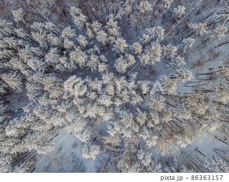 Aerial view of a winter snow-covered pine forest. Winter forest texture. Aerial view. Aerial drone view of a winter landscape. Snow covered forest. Aerial photography Aerial view of a winter snow-covered pine forest. Winter forest texture. Aerial view. Aerial drone view of a winter landscape. Snow covered forest. Aerial photography 86363157
