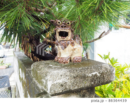 シーサー 86364439