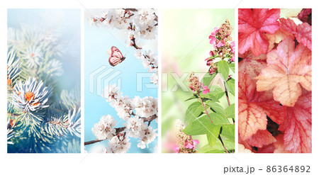 Four seasons of year. Set of vertical nature banners with winter, spring, summer and autumn scenes 86364892