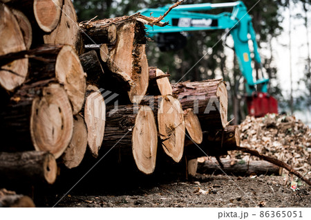 森林を開拓する作業現場 森林を開拓する作業現場 86365051
