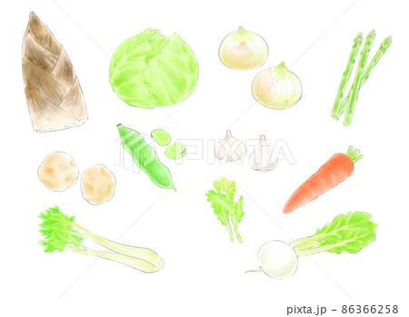 水彩スケッチ風・春野菜セット 86366258
