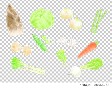 水彩スケッチ風・春野菜セット 86366258
