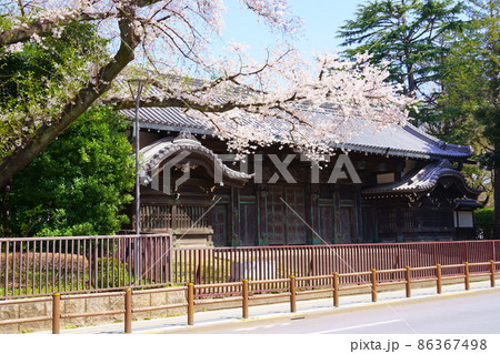 旧因州池田屋敷表門（黒門）と満開の桜／東京都台東区上野公園 86367498