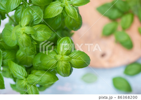 カッティングボードとバジル 86368200