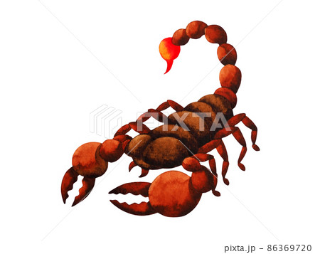 scorpio zodiac astrology horoscope symbol sign logo icon design in water element color art background watercolor painting cartoon drawing illustration fortune 86369720