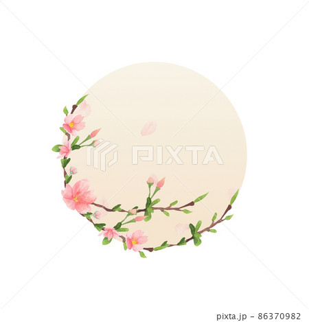 cherry blossom watercolor round frame on white background 86370982