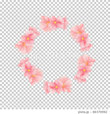 cherry blossom watercolor round frame on white background cherry blossom watercolor round frame on white background 86370992